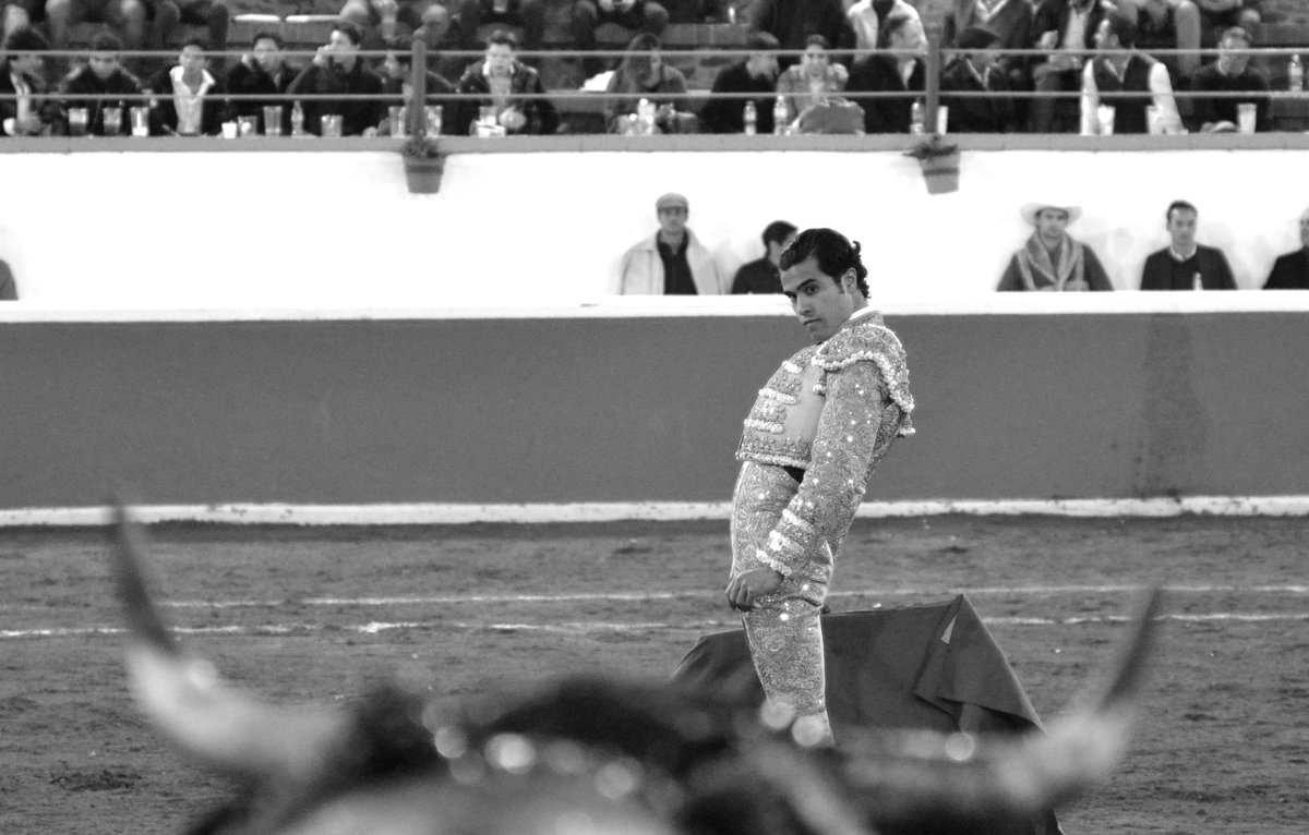 El Programa Taurino tweet media