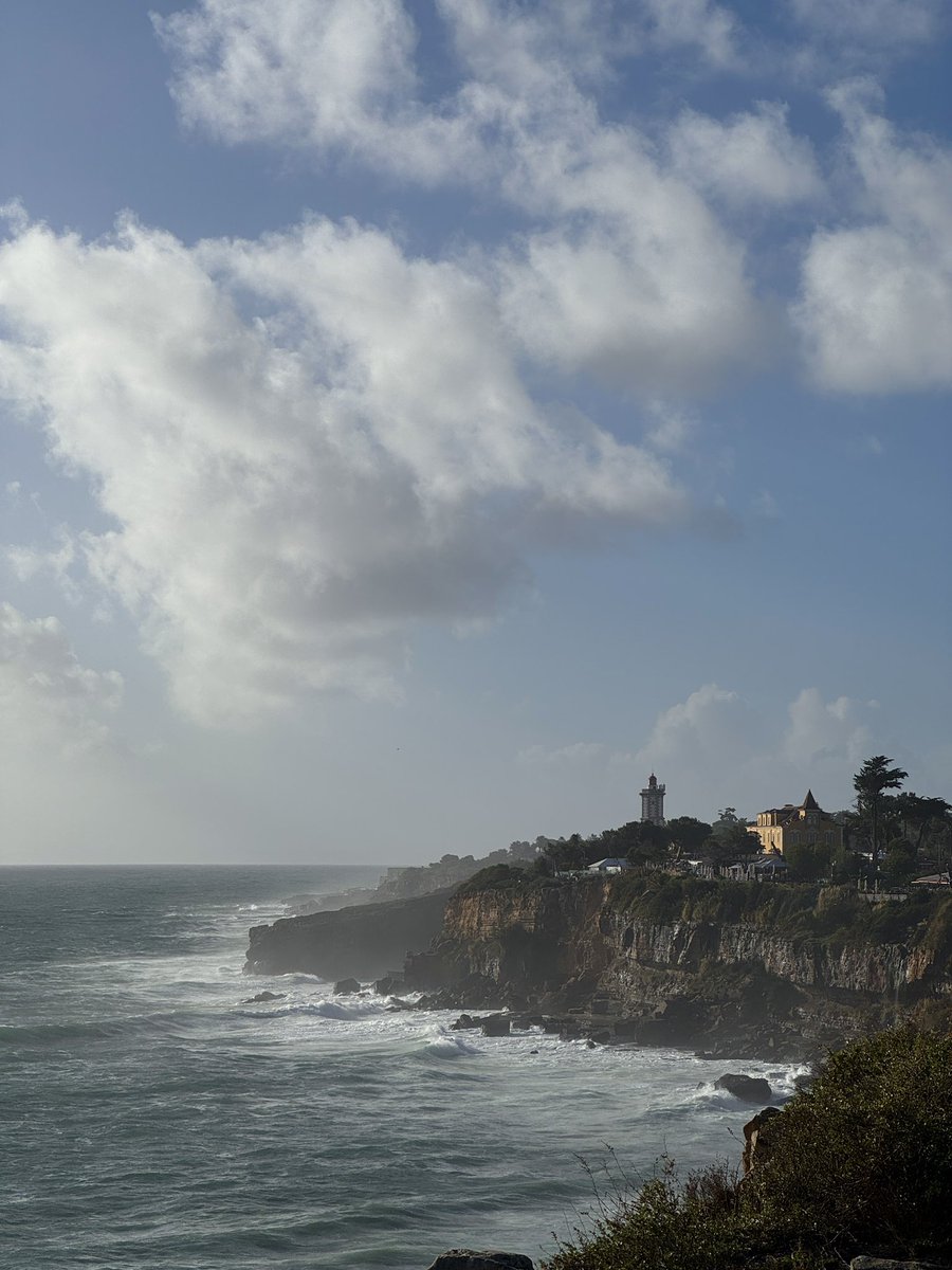 azvrath's tweet image. un peu de novembre