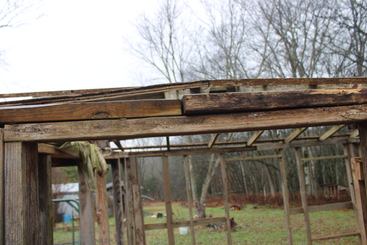 docsanderson's tweet image. #Scientists #Carpenter #RestorationProject #WildFireProtocol #Wolves @HeartsofHeroes_ @danpeckwx @Nature @Ginger_Zee Mags G, re attached support post for #GreenHouse &amp;amp; inspected back wall found problem that probably contributed to the Torque Collapse Hands are cold feel shaky Lee