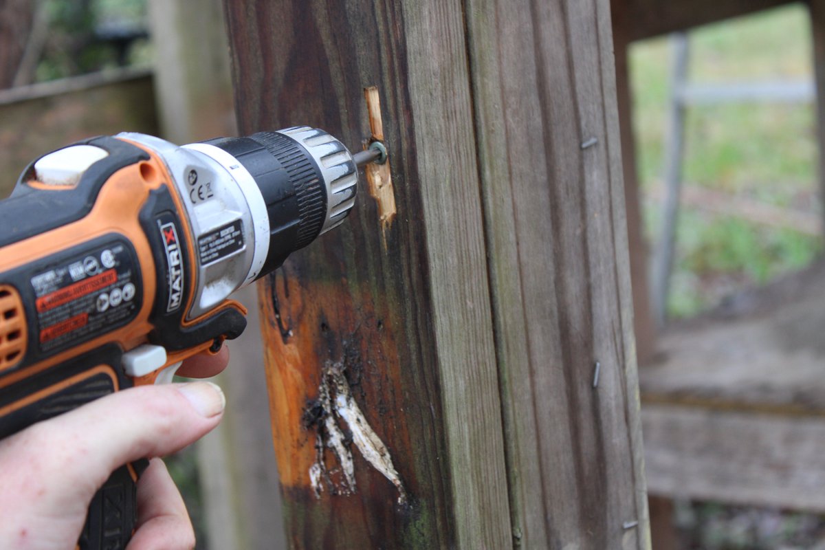 docsanderson's tweet image. #Scientists #Carpenter #RestorationProject #WildFireProtocol #Wolves @HeartsofHeroes_ @danpeckwx @Nature @Ginger_Zee Mags G, re attached support post for #GreenHouse &amp;amp; inspected back wall found problem that probably contributed to the Torque Collapse Hands are cold feel shaky Lee