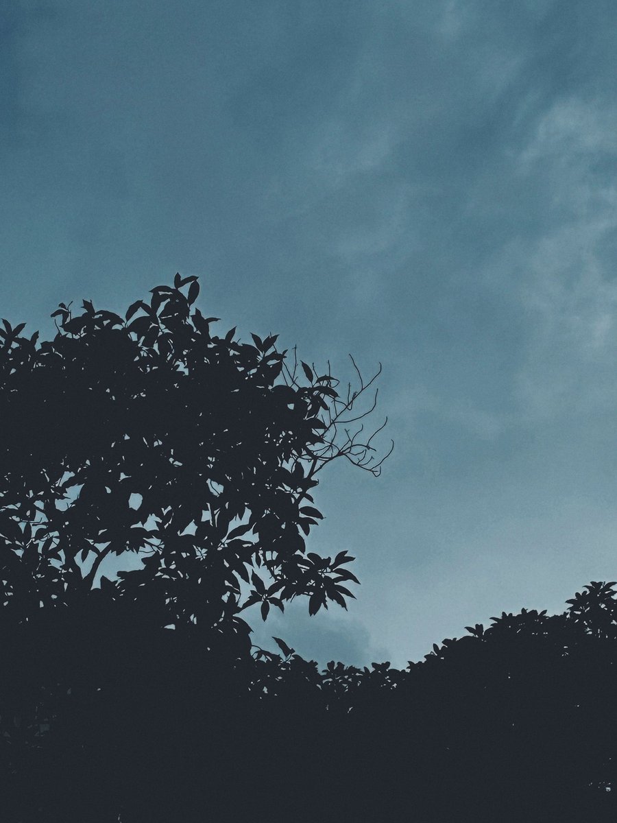 Pranav_Dupati's tweet image. two blues pretending not to know each other