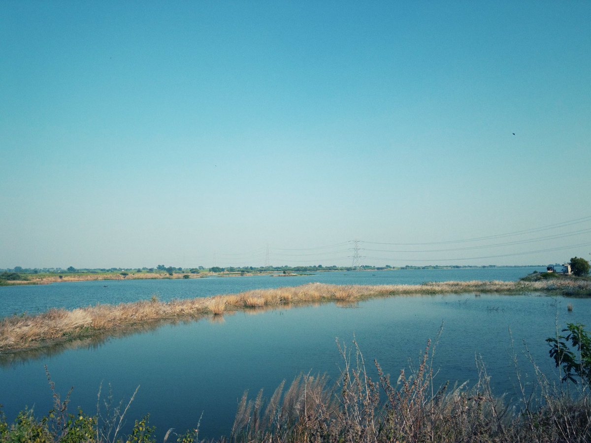 Pranav_Dupati's tweet image. two blues pretending not to know each other