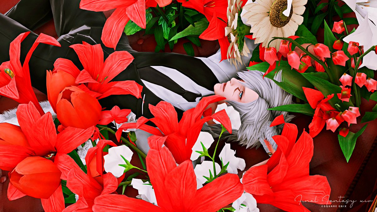 ひより (@hiyorin_la) / Posts / X