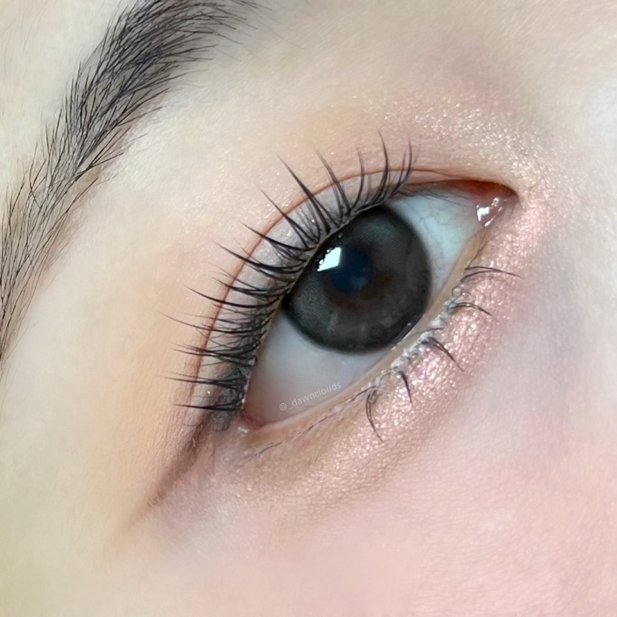 _dawnclouds's tweet image. 잼메와 그냥 메