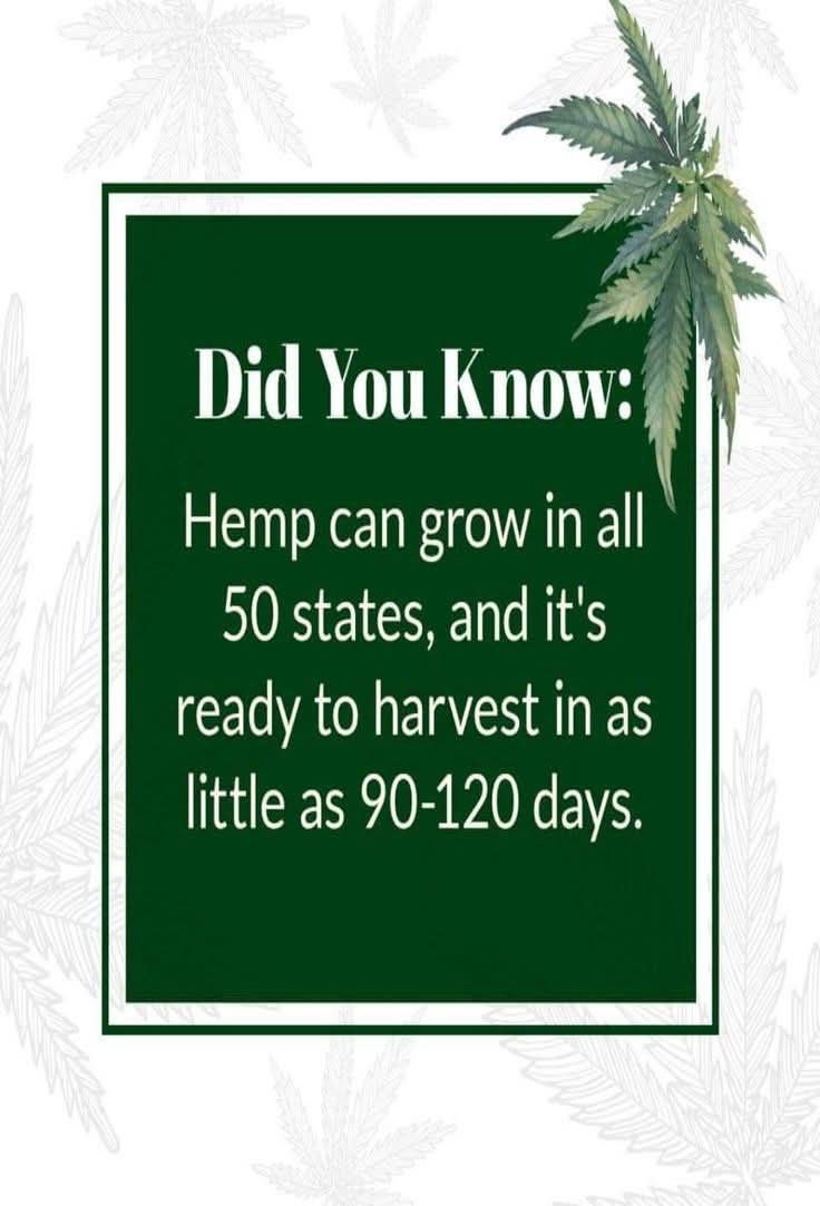 Norstackk's tweet image. :&amp;gt;}_~#WakeNBake #StonerFam #StonerCircle #StonerNation #IAmCannabis #WeAreCannabis #FuckCancer #StayWoke &amp;amp; ALL #STONERS ~HappySunDazed~