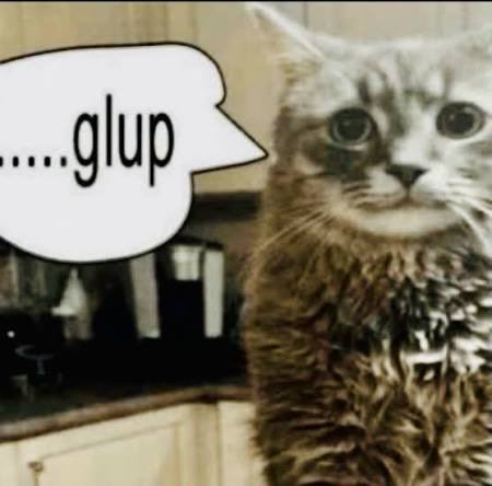 God-Shattering Twink (@shatteringtwink) on Twitter photo 