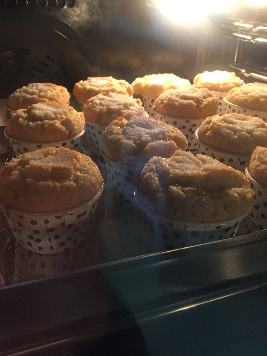 TheDeLaurentis's tweet image. Something different 🌼

#visualNS