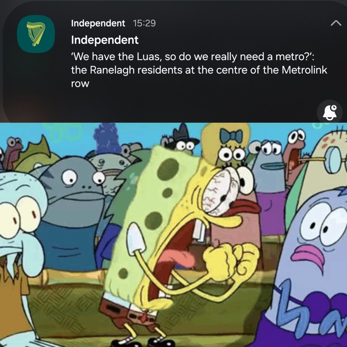 higginsdavidw's tweet image. Hold my beer