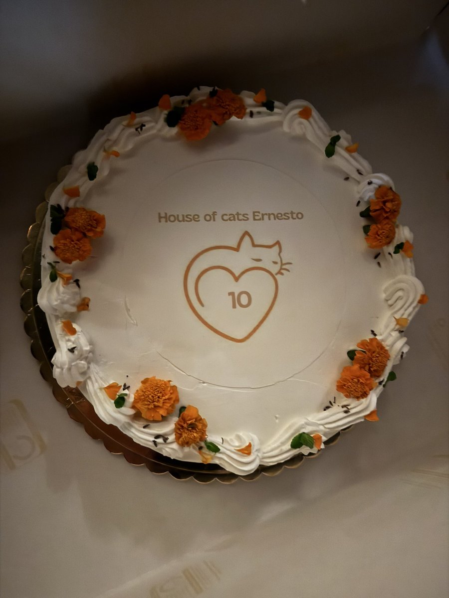 theAleppoCatmen's tweet image. Last night we celebrated the 10th anniversary of Ernestos Sanctuary Syria, with the team in Syria and friends who gathered in the beautiful city of Cremona. The birthplace of Ernesto’s Sanctuary for Cats in Syria 
10 years of saving lives and raising standards of vet care, animal