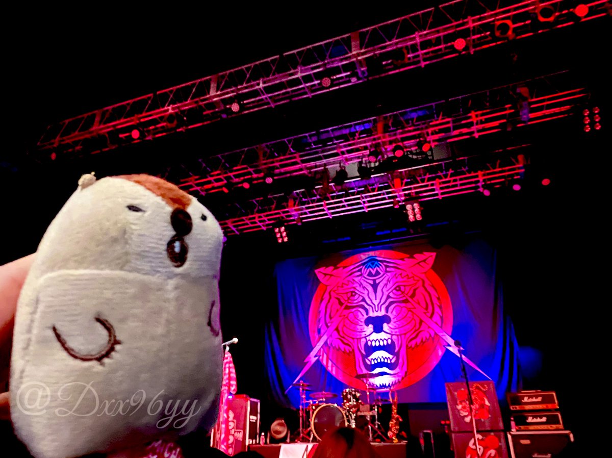 Dxx96yy's tweet image. 最後はLIVE2本🌹✨

最高に楽しかった💕ฅ^•ω•^ฅ

#MICHAELMONROE
#DERLANGER
#マーモットのもっとっとやまもと