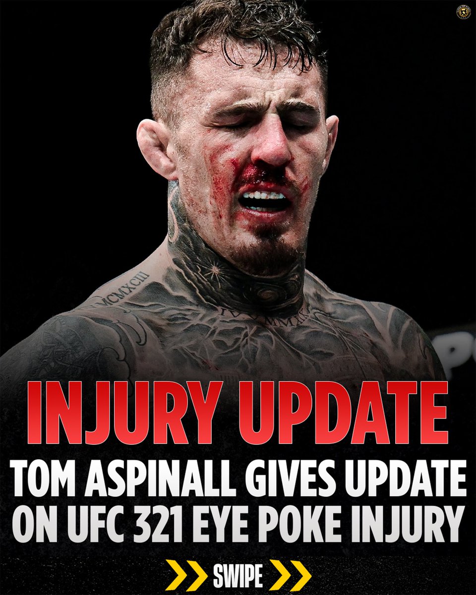 Home of Fight tweet media