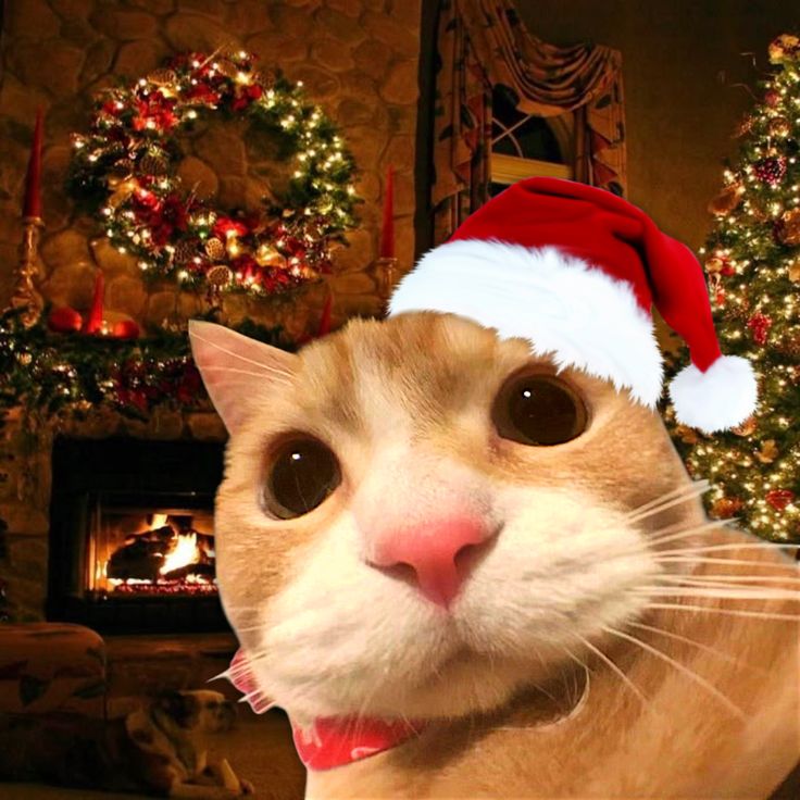 EN VIVO 🟣 

REACCIONANDO A LA NUEVA TEMPORADA DE FORTNITE

LUEGO PROBABLEMENTE DIOSES MC

YA CASI ES NAVIDAD 
ttv/JACKEERR 🟣