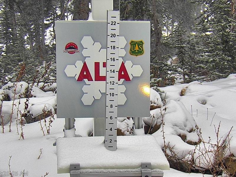 WasatchSnow's tweet image. Alta-Collins needs to pick up 65.5” today for November 2025 to avoid the “below average month” designation. Only 65” to go!