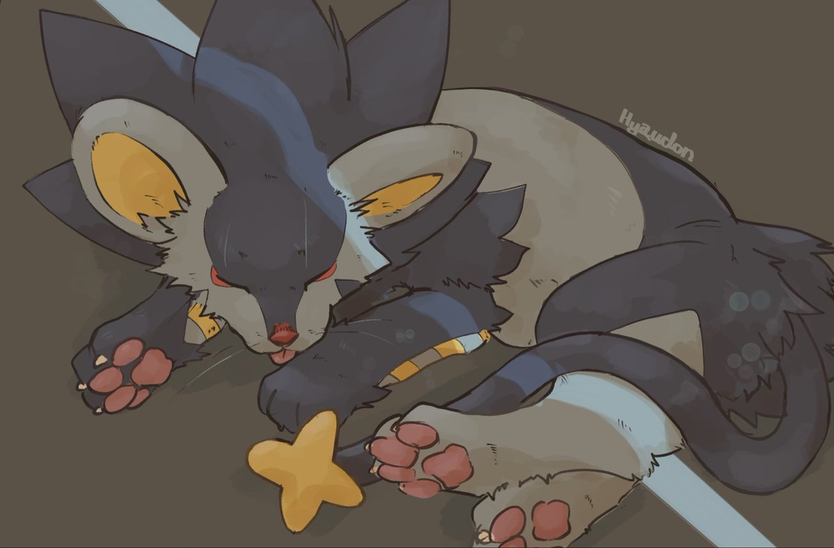 にゃんこ