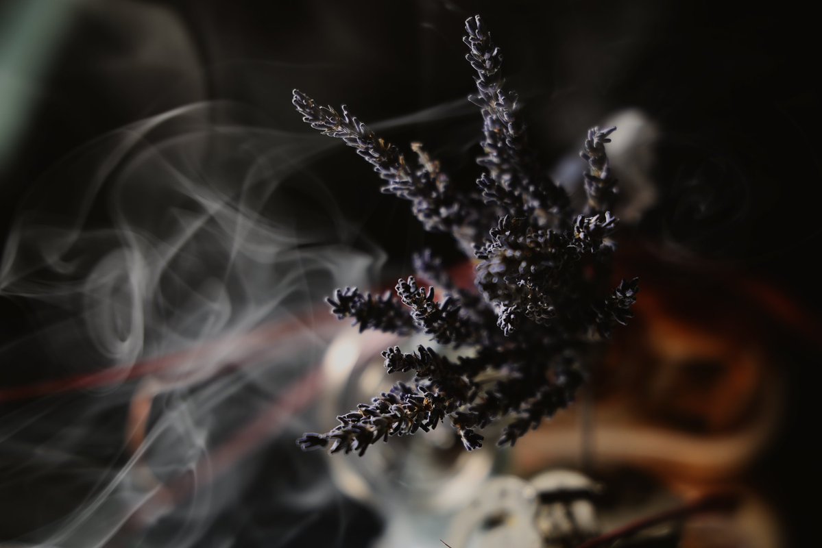 GM all! Still busy creating new work with <a href="/emmasamuelphoto/">Emma Samuel (.eth/.tez/.sol)</a> and enjoying some laughs! It's been so inspiring working together again. Stay tuned for new work and enjoy your Sunday!