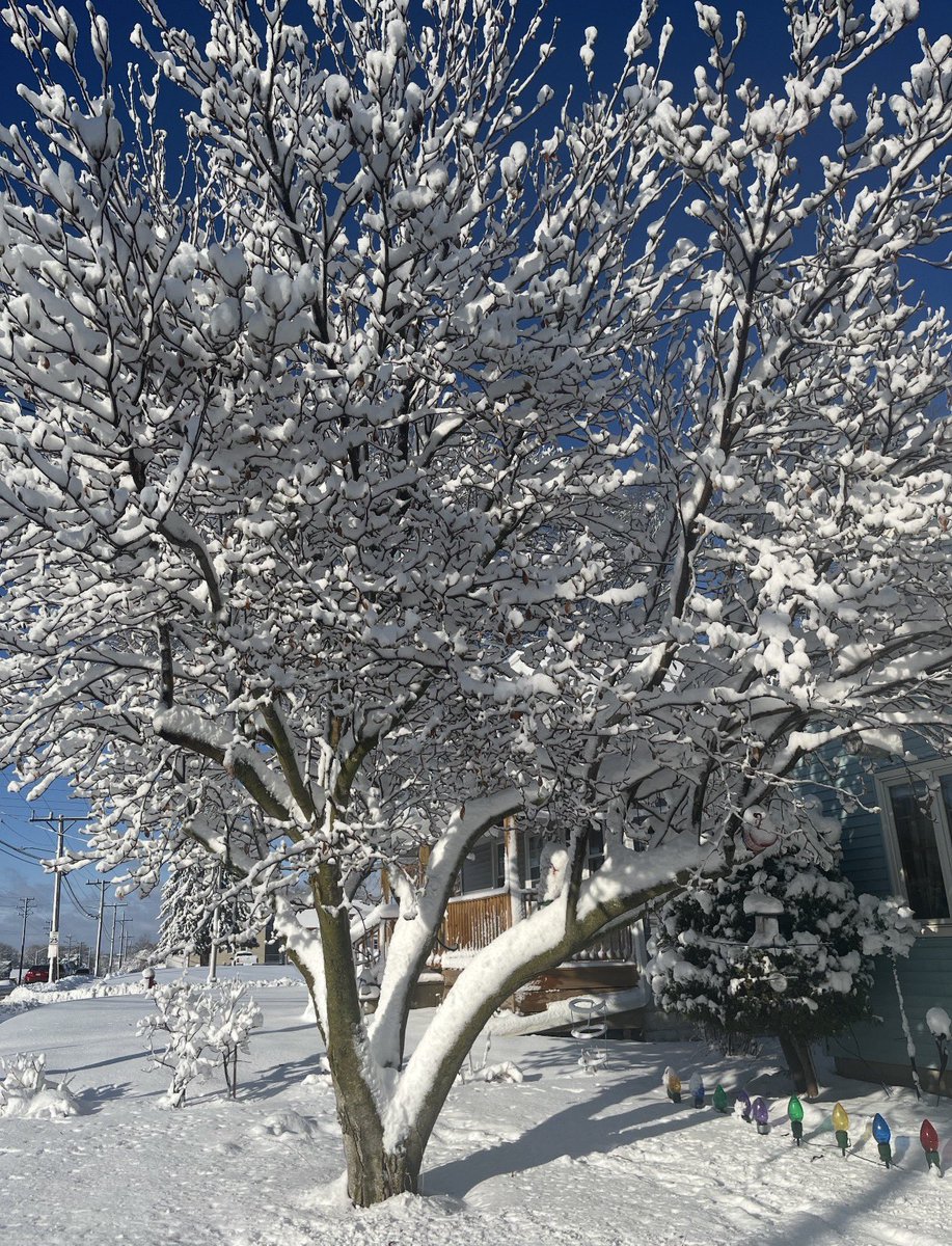 Jeff Last tweet media