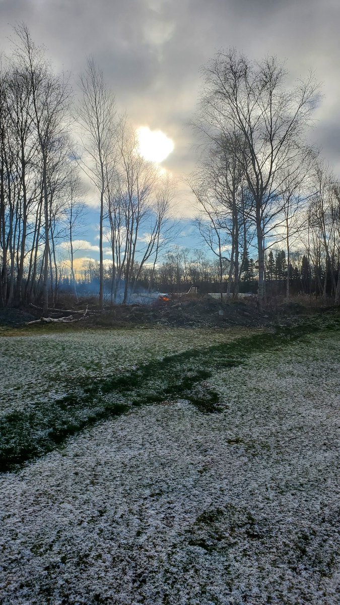 Max Finchem tweet media