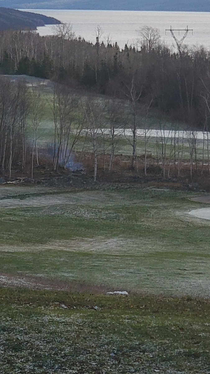 Max Finchem tweet media