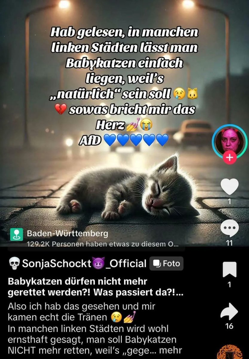 Kann man sich nicht ausdenken