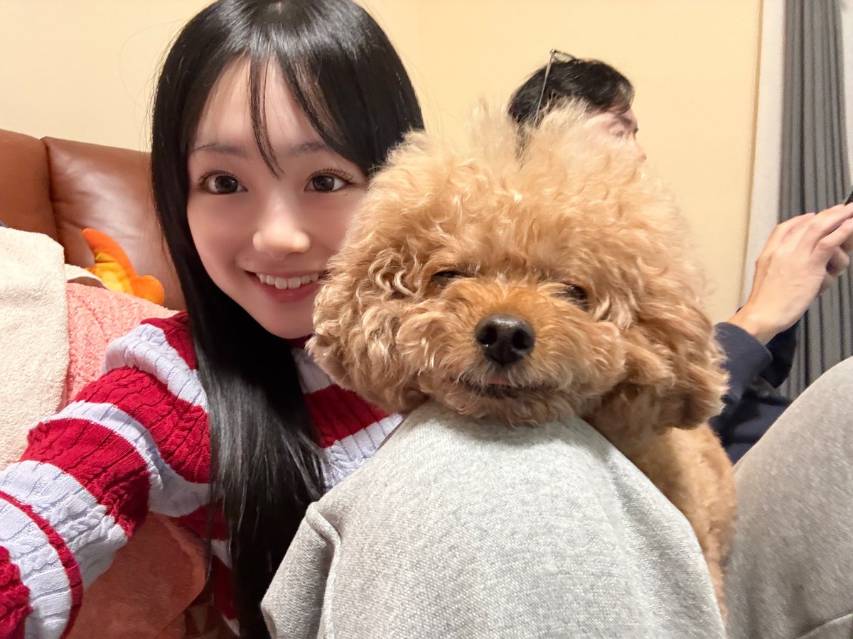 ひまひま (@himahima_chan) / Posts / X