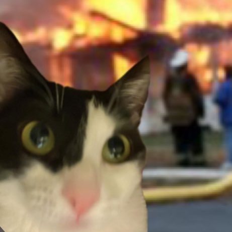 o sırada annesi setteyken evdeki eşyalarını fırlatan turna