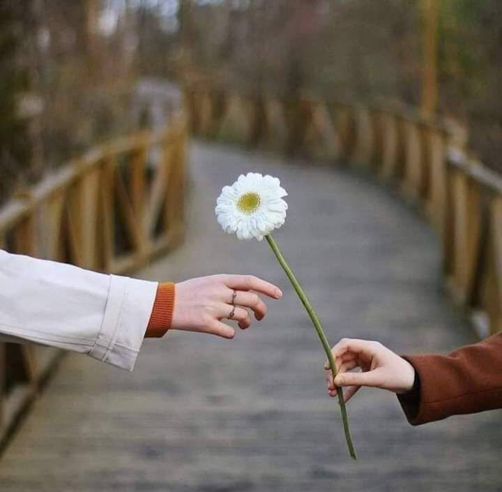 ﻗﻠﻮﺑــــﻨﺎ ﺑﺴﻴـــــﻄﺔ :
ﻟﻮ ﺯﺍﺭﺗﻬــــــﺎ ﺍﻟﻔﺮحــه ﺗﻨﺴـﻰ ﻛﻞ ﻟﺤـــــﻈﺔ ﺫﺍﻗــــﺖ ﻓـــﻴﻬﺎ ﺍﻵﻟـــﻢ ..

#نبض_الوناسه_للدعم