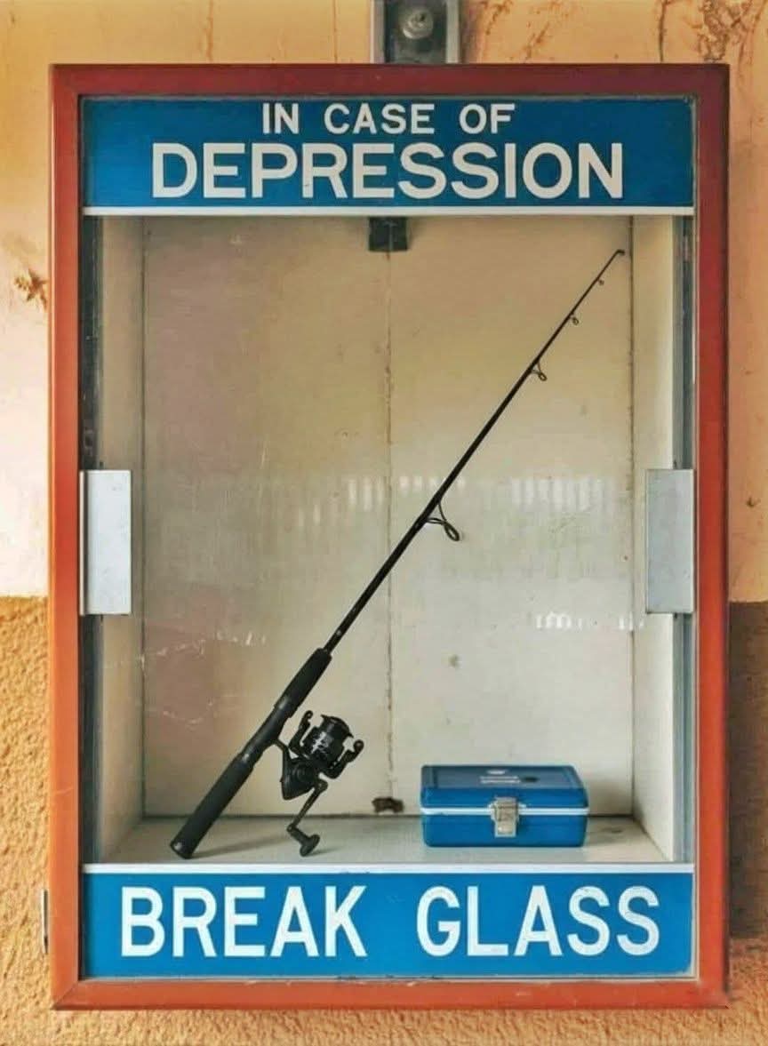 Fishreaper (@fishreaperwayne) on Twitter photo 