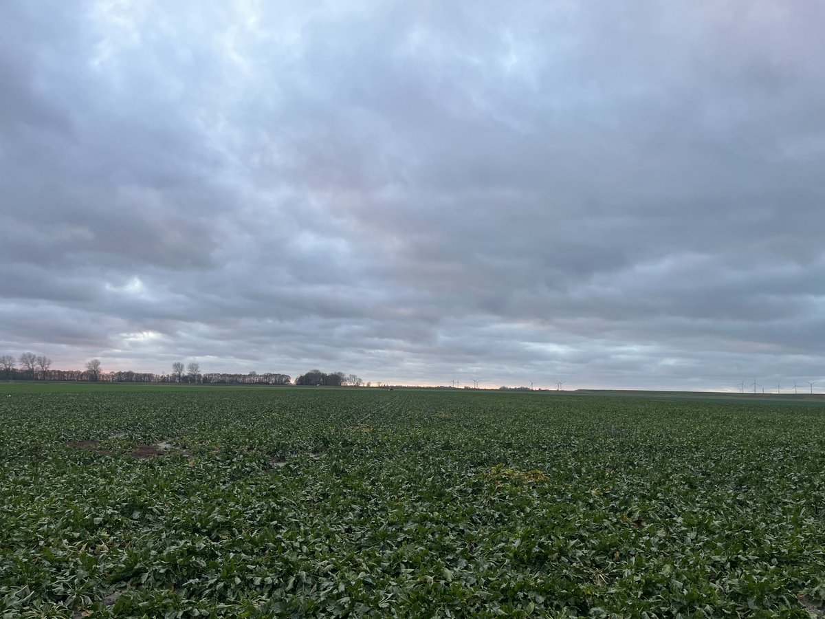 Hanko Blok tweet media