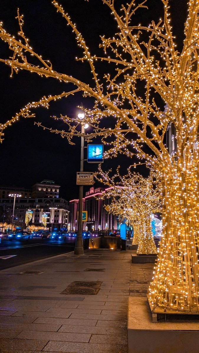 RishmaaShah's tweet image. Some blessings arrive quietly, changing your life without warning but with perfect divine timing.

Good Night X Family 🖤🌿