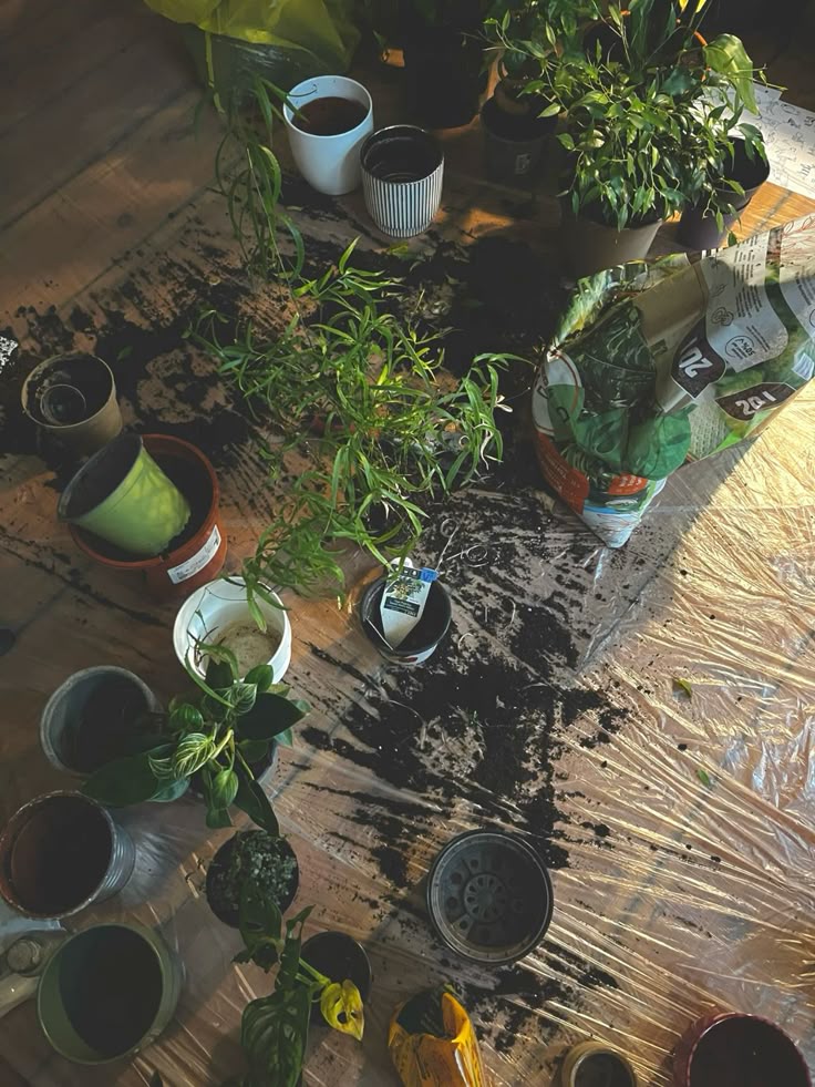 ronxnbm_'s tweet image. ⠀
⠀
                      ┌  #visualns  ┘
⠀
⠀