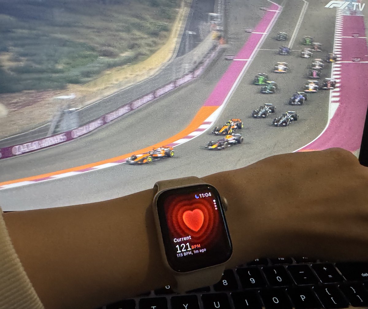 formula 1 is fun they said