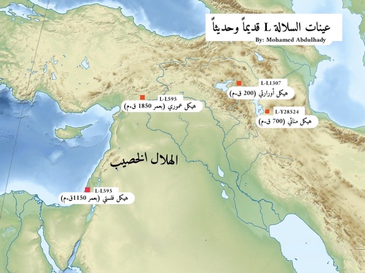 نوماد 🐪 tweet media