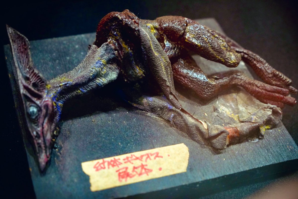 HIDEO_KOJIMA_EN's tweet image. 