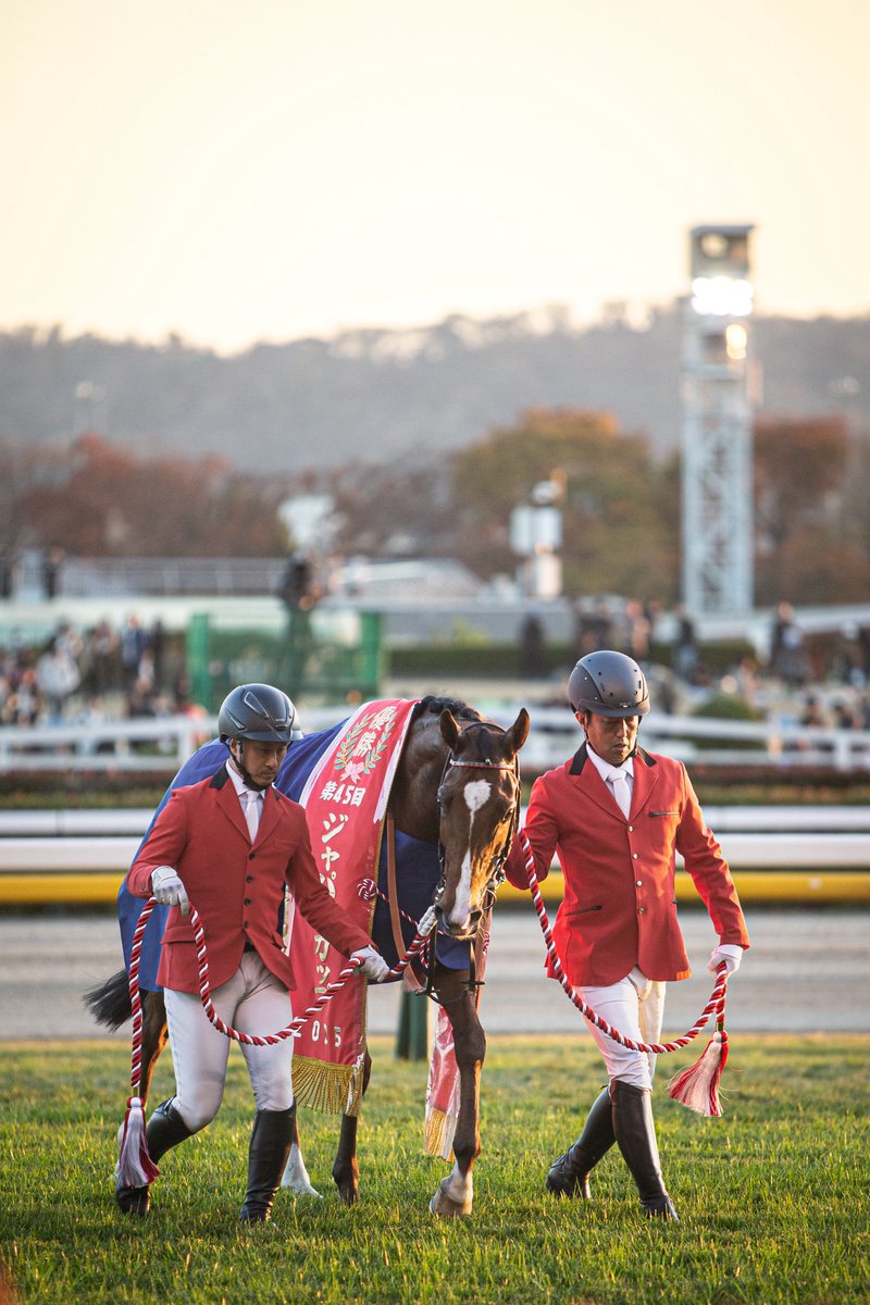 Kanyaba__ph's tweet photo. 名実ともに“世界最強馬”

#東京競馬場
#ジャパンカップ
#カランダガン https://t.co/ufjcQxFfts