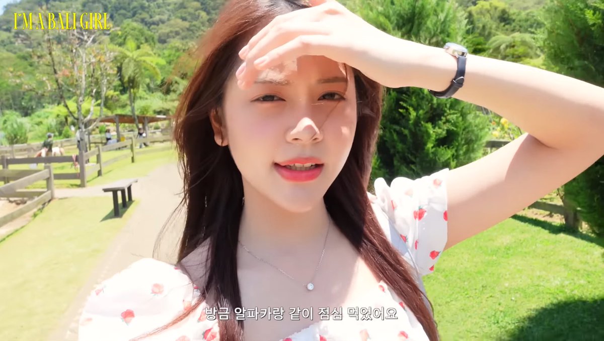 dinohijiu tweet media