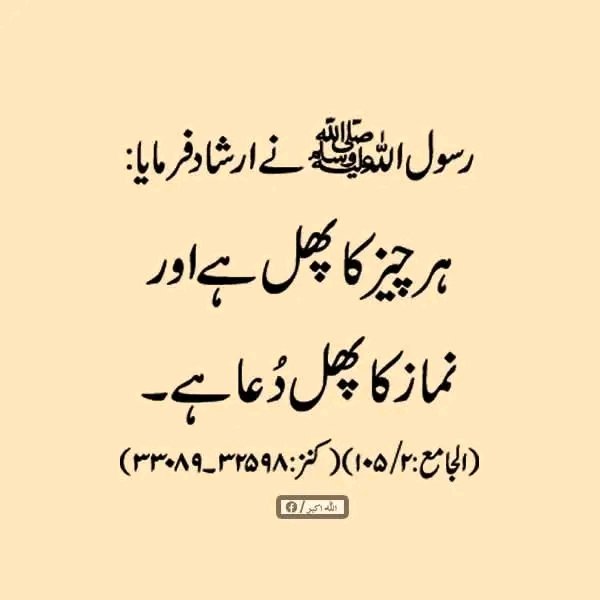 بیشک نماز کا پھل دُعا ہے