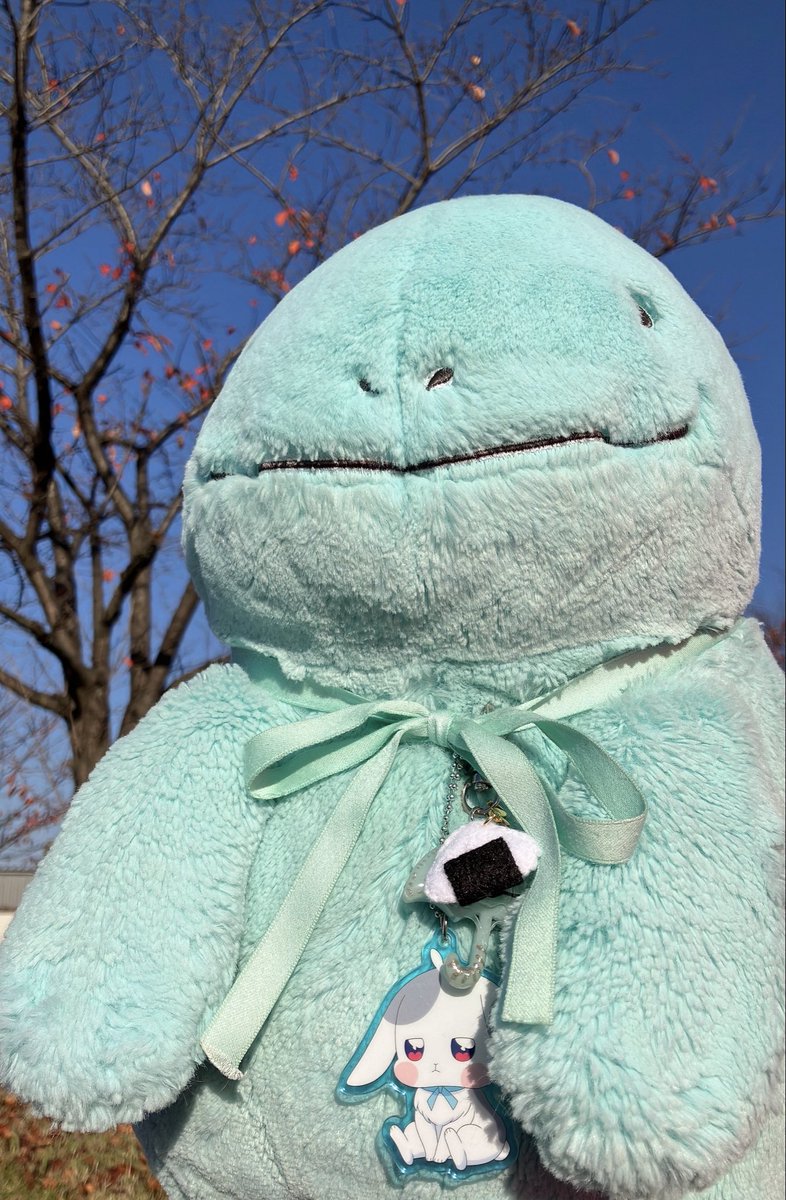 Post by 🐻くまママ️️🩵💎️️.*・ﾟ on X: ぬーーん🍙