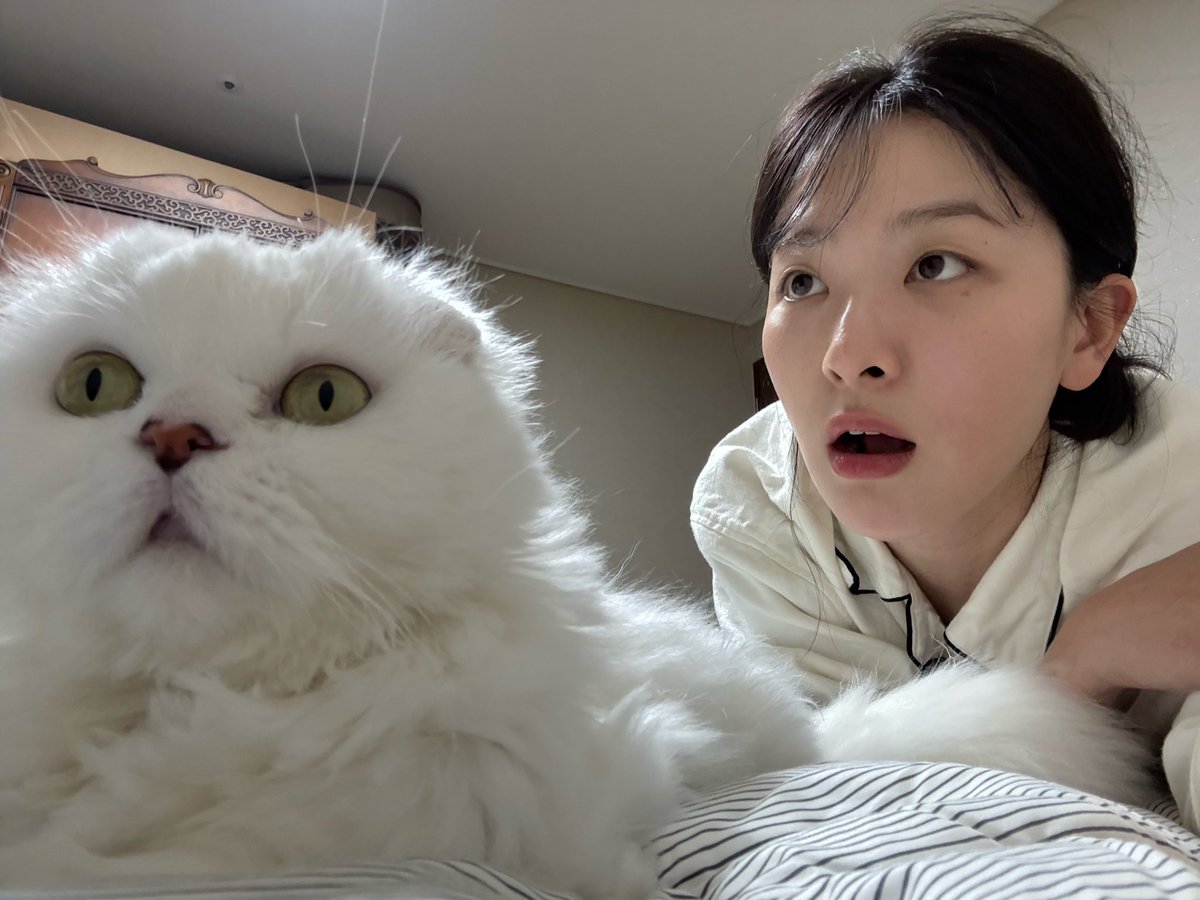 minjoohyuns's tweet image. thats her child omg