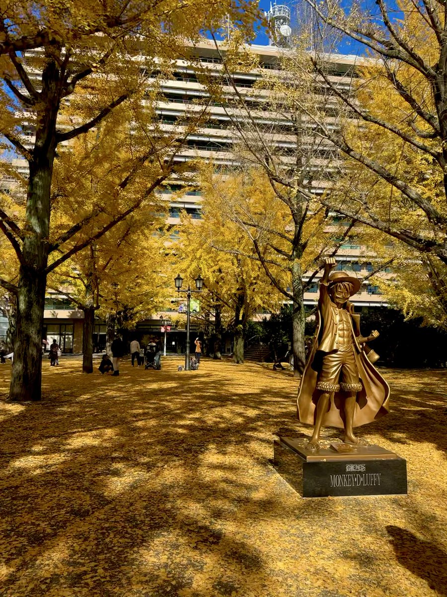 昨日は1日1人時間の日だったから散歩デーにした。
朝食屋さんに行って仮面ライダーの映画見て子供達のクリスマスプレゼントの下見して銀杏に囲まれたルフィ像を見て楽しい休日だった。
気づいたら27km&amp;33000歩オーバーしてた😁