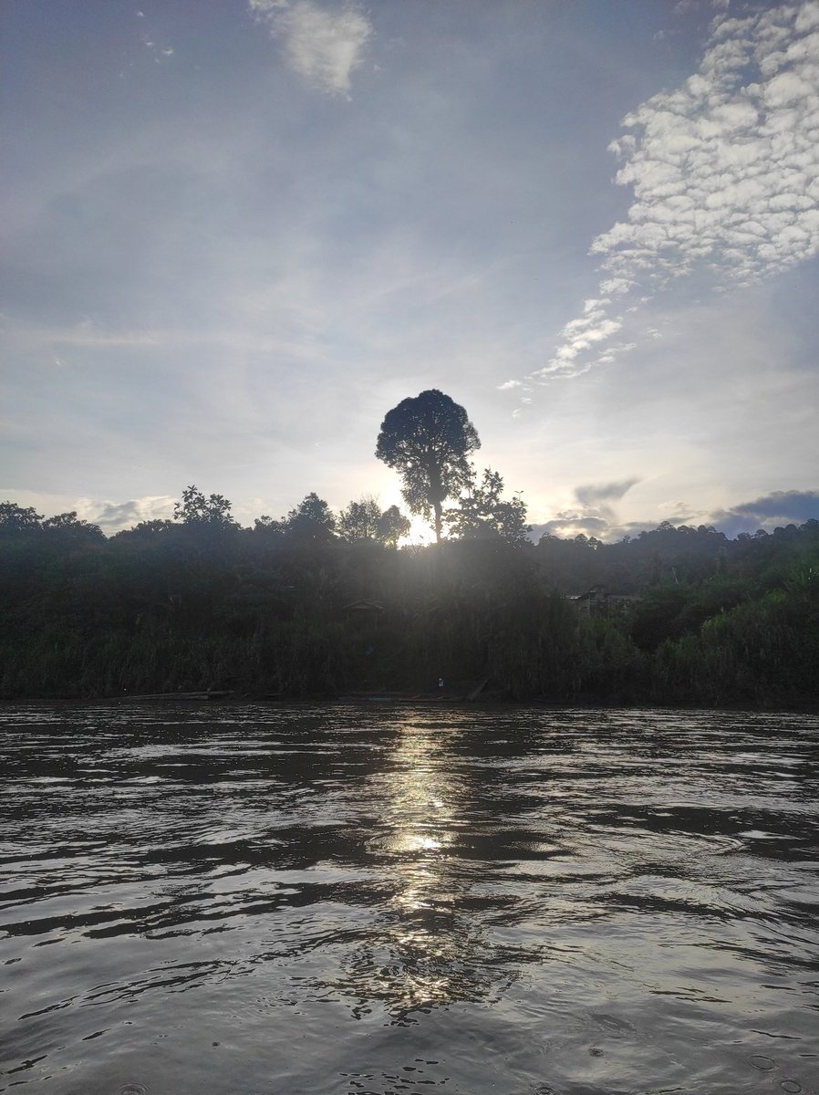 shareurtango's tweet image. 