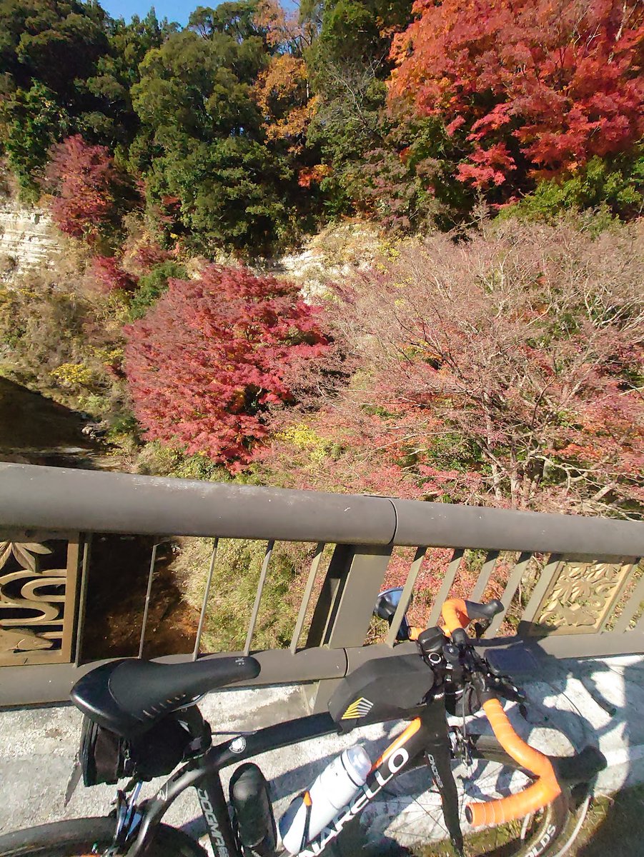 今日のサイクリングまとめ
久々に７００ｍ以上上ったっぽい。そして膝に痛みがでた(´;ω;｀)

#サイクリング
#ロードバイク
#ゆるポタ
#紅葉