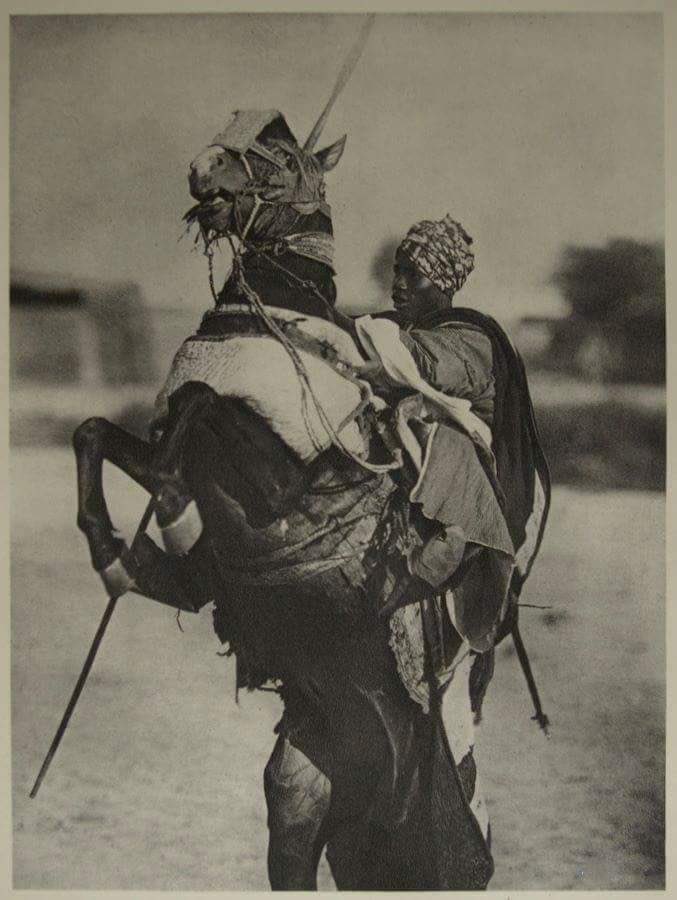 MLBara_LO's tweet photo. Bataille de Paoskoto: symbole de l’antique valeur sénégalaise ✅

Le 30 novembre 1865 est une date historique. Une coalition de forces combattantes « sénégalaises », dirigée par Maba Diakhou BA infligeât de lourdes pertes et remportât une éclatante victoire contre les troupes coloniales.

Paoskoto est le symbole de la capacité de notre peuple à avoir un but commun: des combattants et religieux de divers terroirs ont convergé vers Nioro pour constituer un seul corps de bataille contre le Colon. Marabouts et Ceddo.

Lat Dior DIOP était au cœur du plan de bataille. L’intrépide Damel a manoeuvré, avec succès, une force armée estimée entre 17 et 20 000 hommes.

Le Sénégal: un peuple, un but, une foi.

Mouhamadou Lamine Bara LO
#BaraLO
