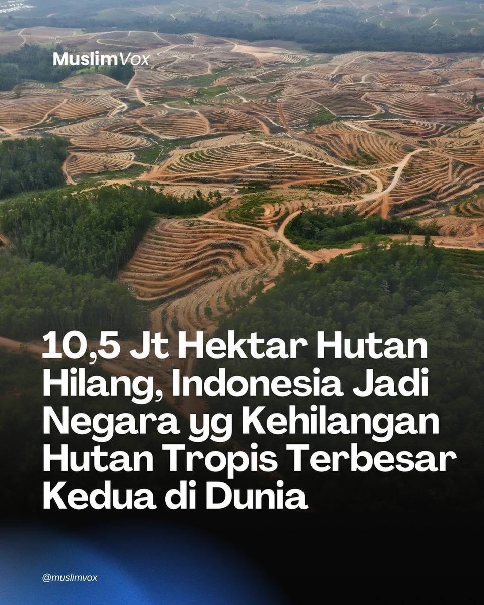 Hilmi28's tweet photo. Orang2 serakah yg menikmati cuannya, rakyat banyak yg menanggung akibatnya 😭 https://t.co/jf8zCC5tND