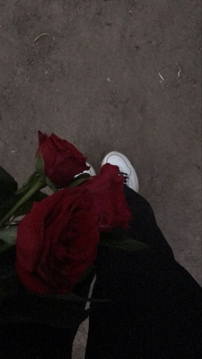 Emii16170879's tweet photo. تحفه ♥️ https://t.co/8c4q4mvyNF