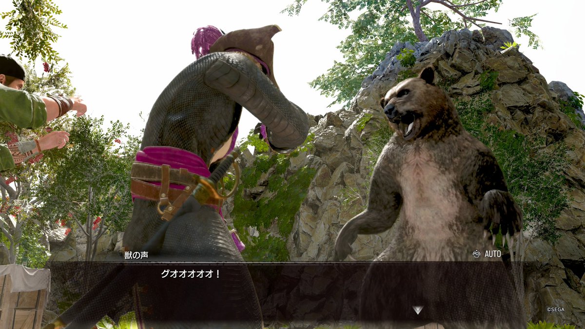 ハワイに熊って居たんだ