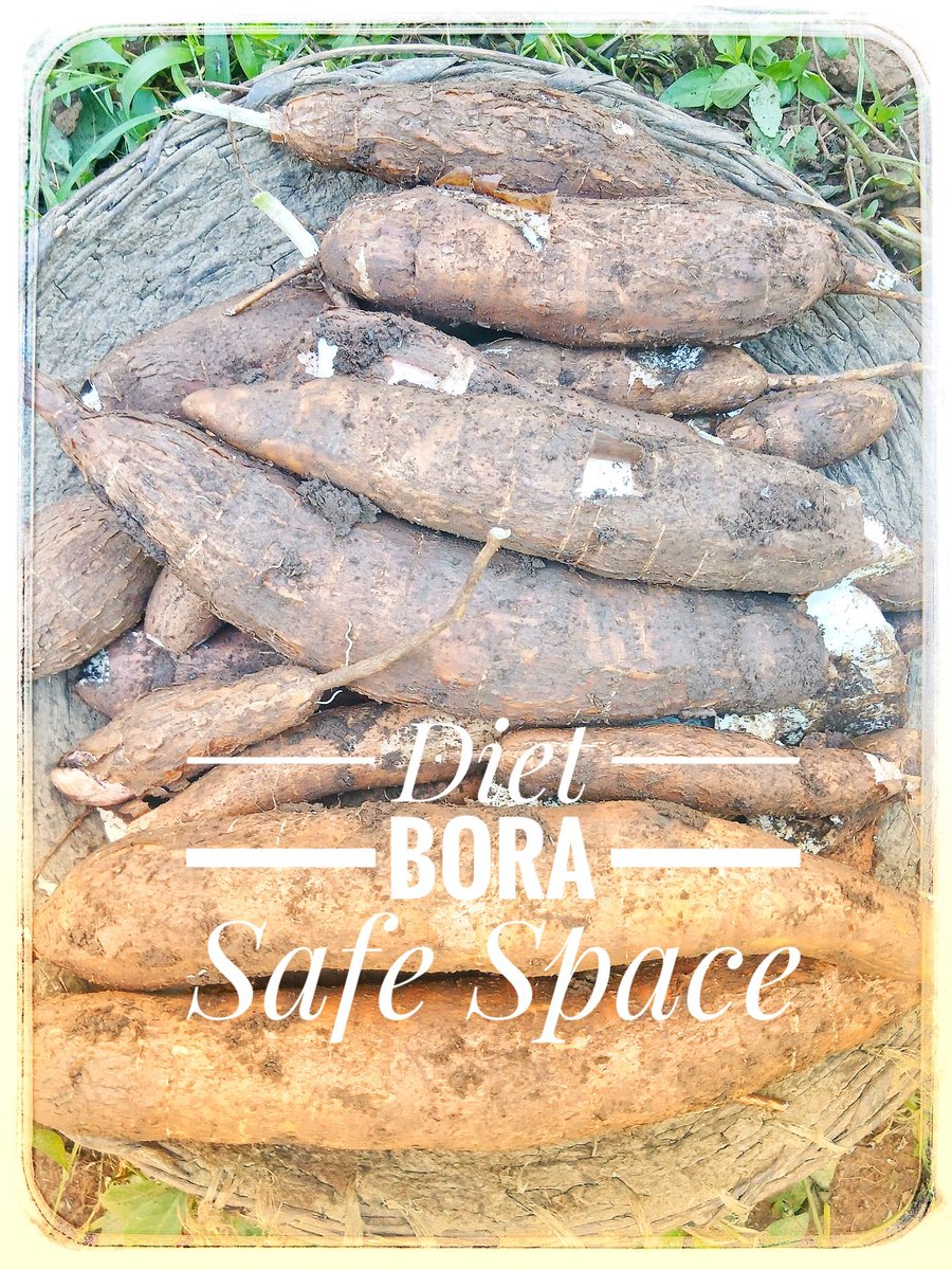JamiiAjibikacbo's tweet photo. @ajibikajamii Cassava provides clean energy, essential minerals, and dietary fibre — a true champion against malnutrition. Diet Bora continues to spotlight local foods that build stronger, healthier communities. @CAREinKenya
@SUN_CSA_KENYA  #HiddenHunger #NutritionMatters https://t.co/OAIM3RvA0Z