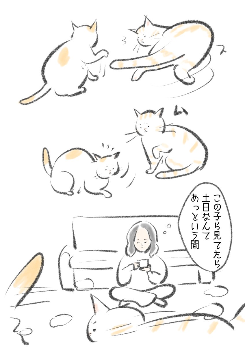 猫たちのドタバタ劇ずっと見てられる。 
