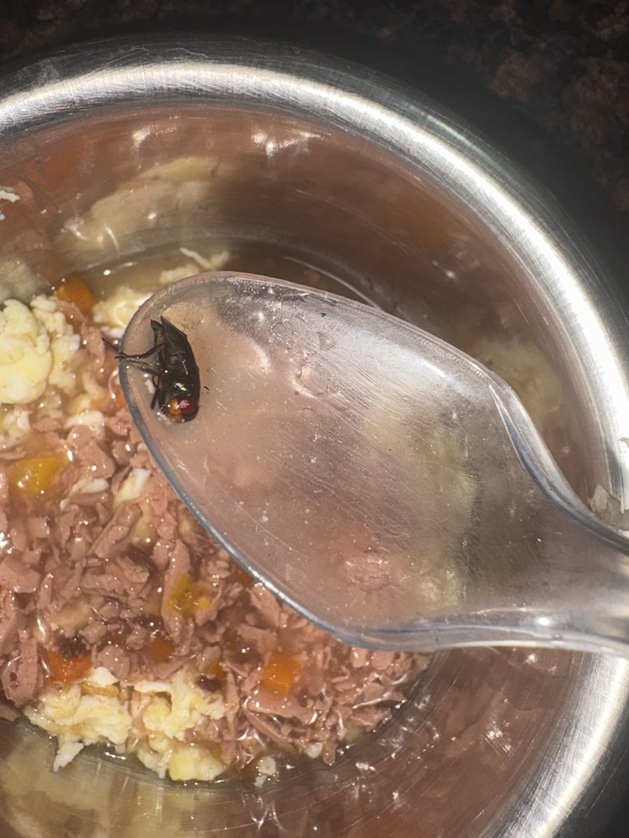 Adv. Shruti Manchanda tweet media