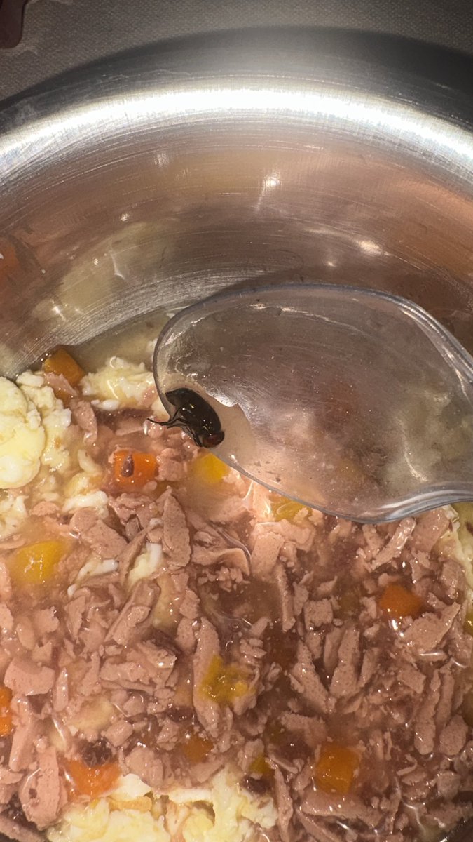 Adv. Shruti Manchanda tweet media