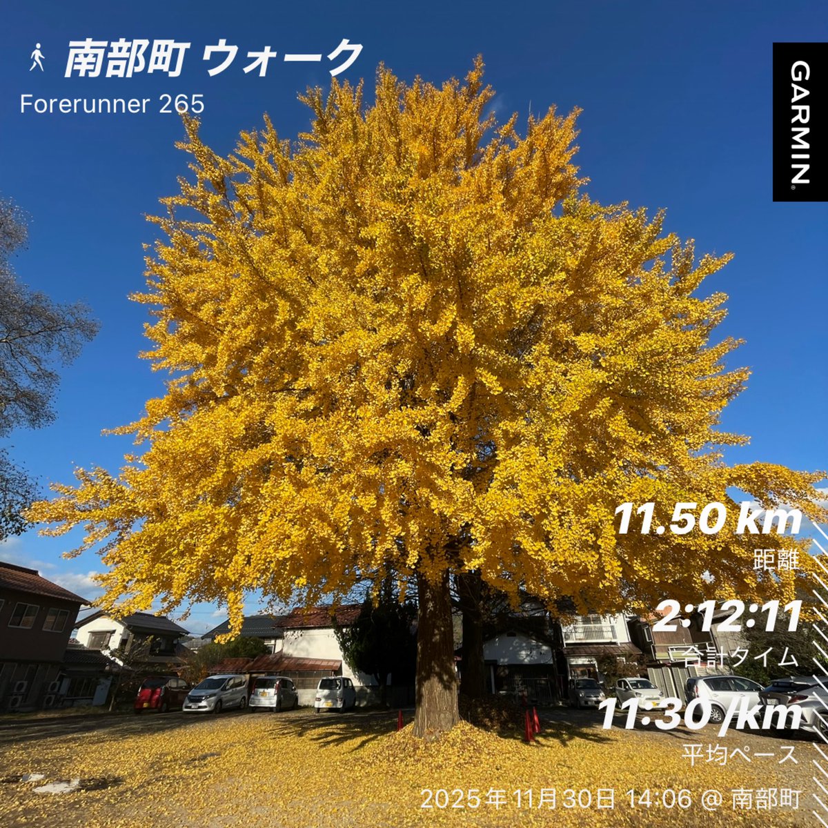 And1Hamk's tweet photo. 秋晴れ☀️ウォーキング🍁 https://t.co/RTF4BsgvsK